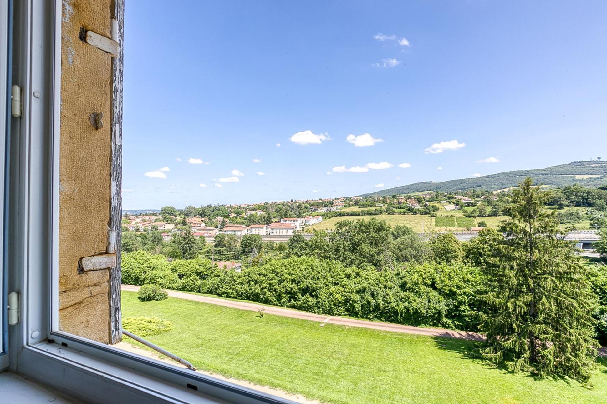Sejourner Au Chateau De La Roue Grand Appartement Lissieu Eksteriør bilde
