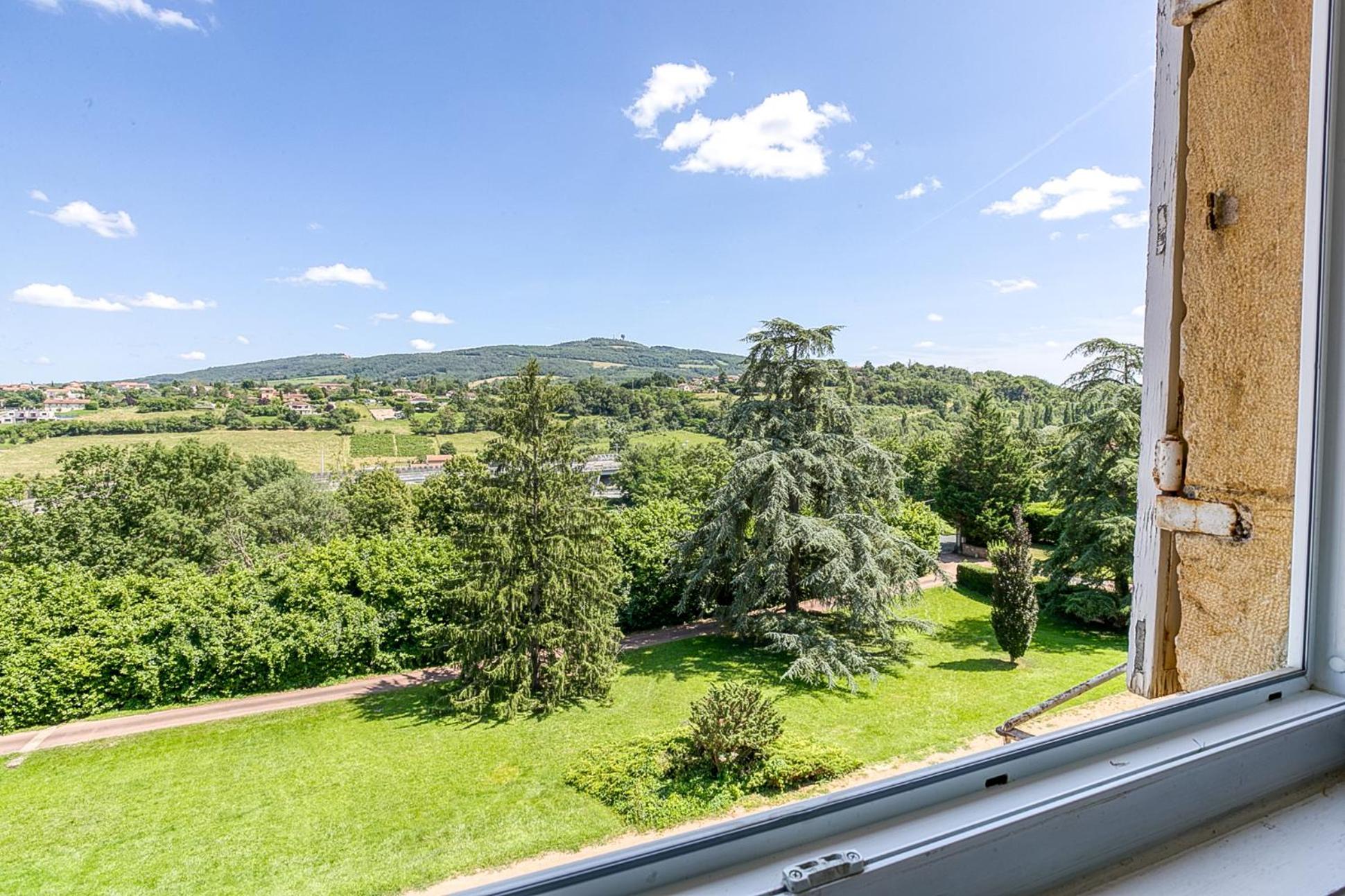 Sejourner Au Chateau De La Roue Grand Appartement Lissieu Eksteriør bilde